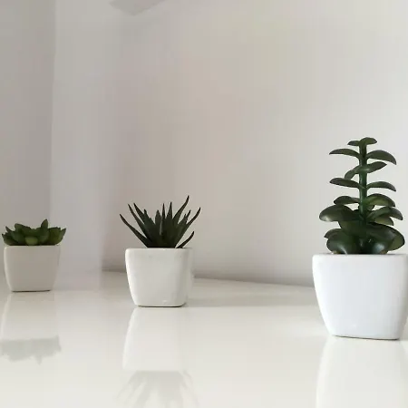 Apartments Novi Vinodolski Lejlighed