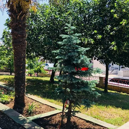 Apartments Novi Vinodolski *