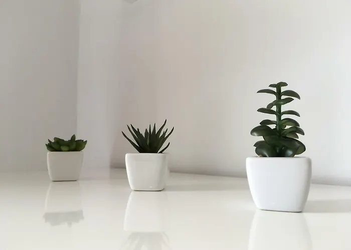 Apartments Novi Vinodolski דירה