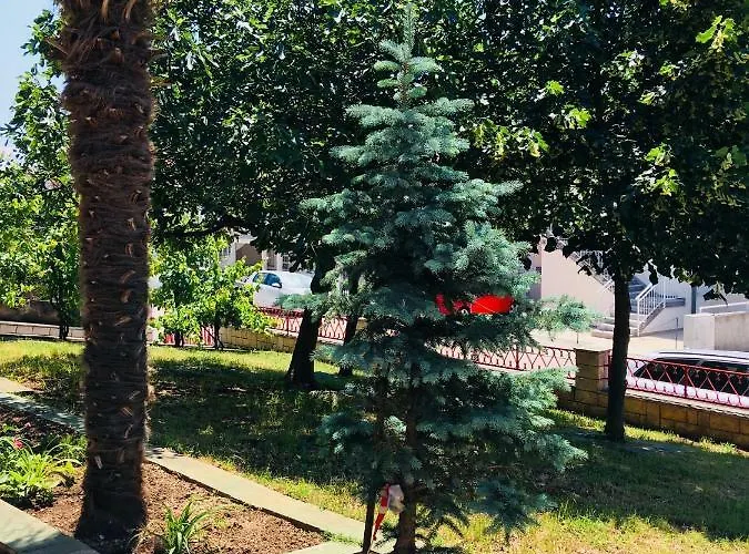 Apartments Novi Vinodolski *